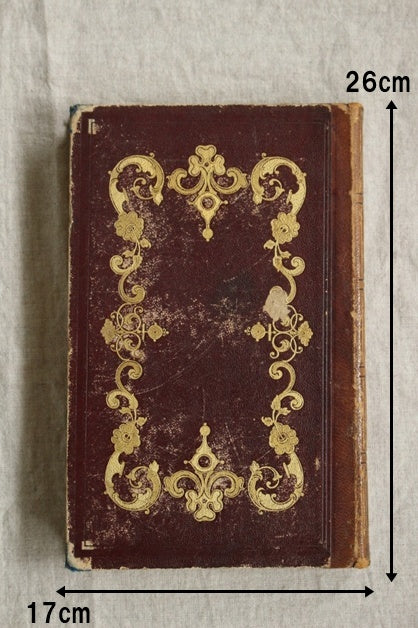 ブラウンカラーの美しい装丁の洋書（26x17cm） フランスアンティーク