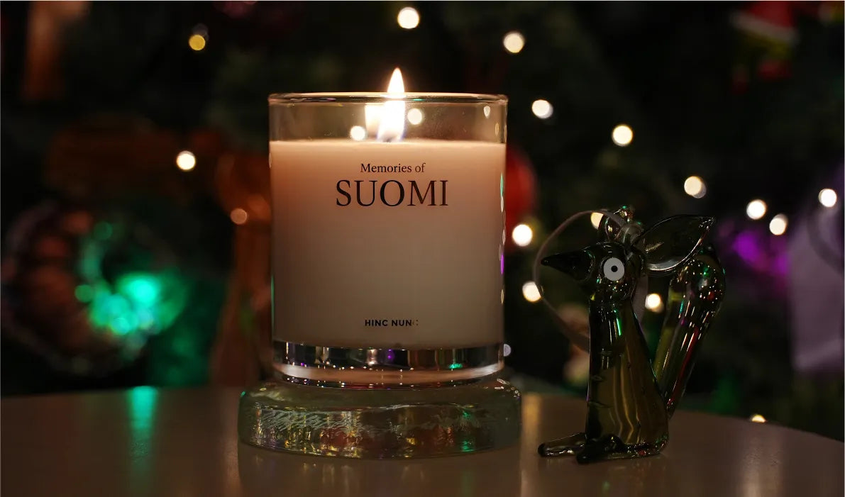 Memories of SUOMI – hincnunc.com