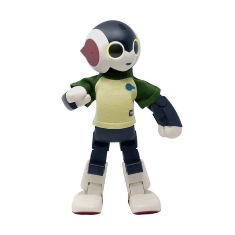 デアゴスティーニの初代Robi組立完成品（キャリングケース＋Robi専用