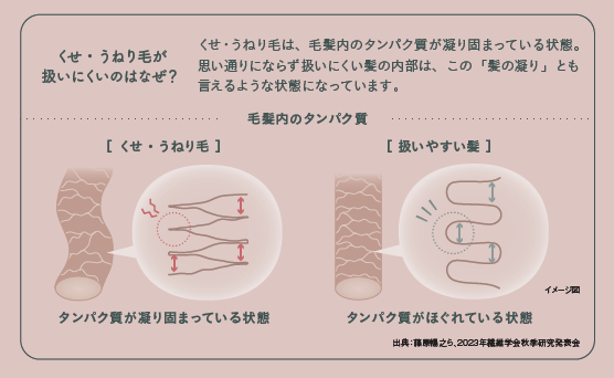 ミルボン新作】suwae（スワエ）｜くせ・うねり毛のための新ヘアケア
