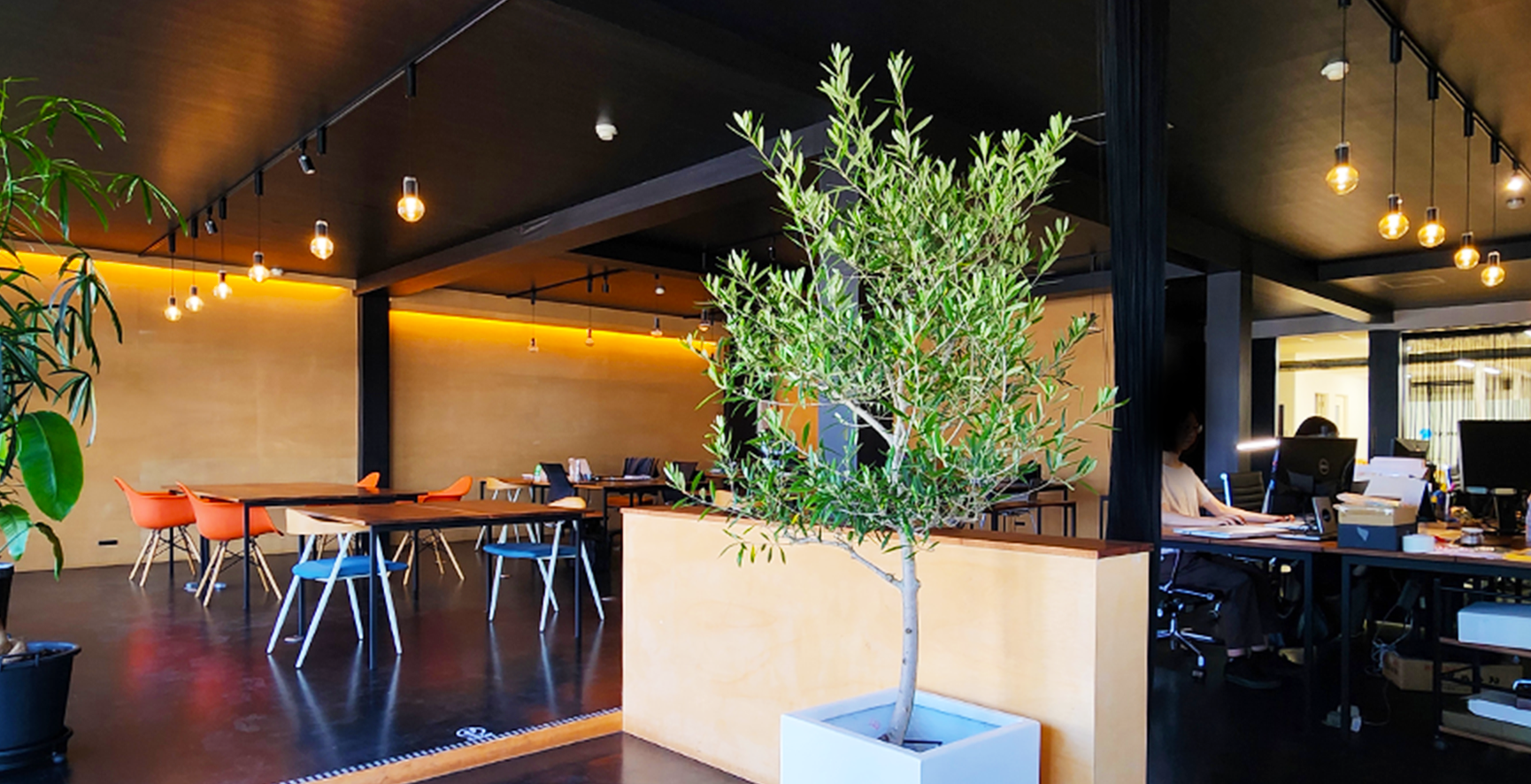 法人限定販売 鶴亀園の大鉢商品 – 株式会社鶴亀園