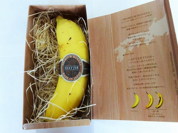 皮まで食べれる！無農薬栽培の国産バナナ（レギュラーサイズ6本