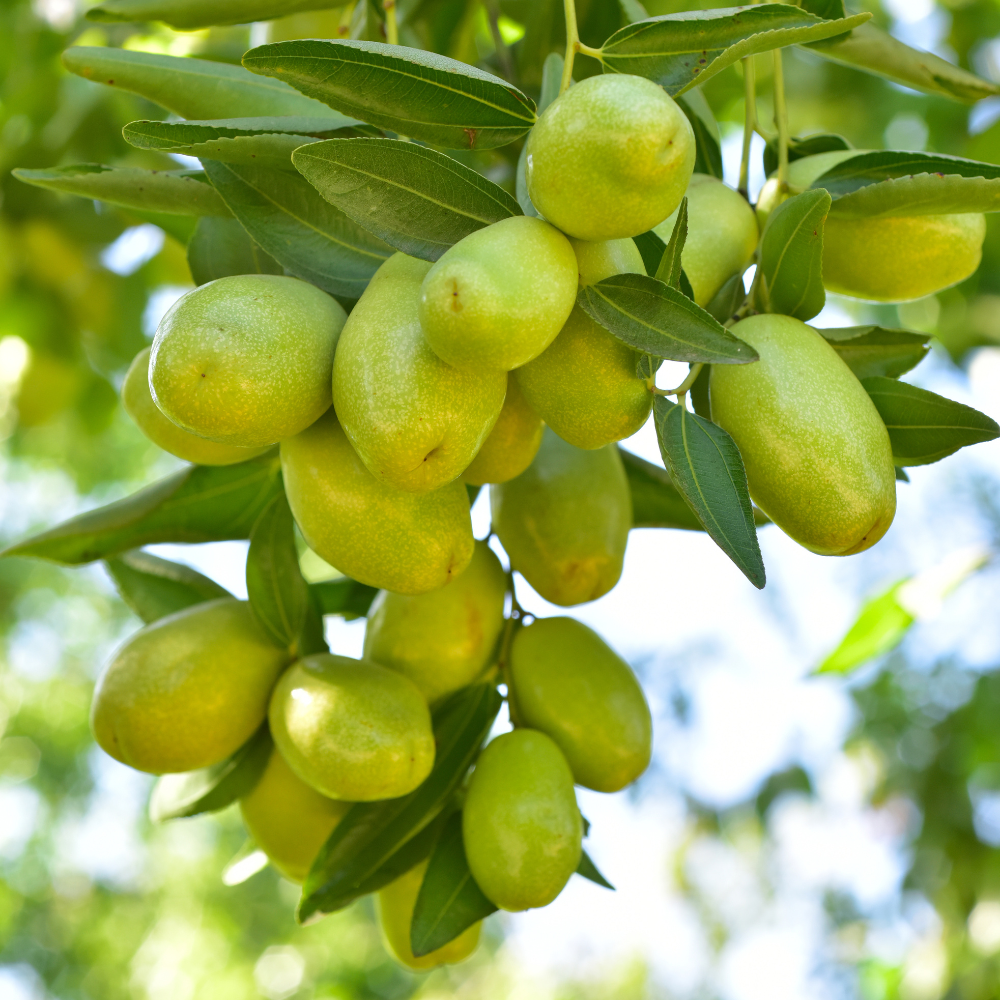 GRATiAE サーマル セルフヒーティング マスク リンクルケア 50mL