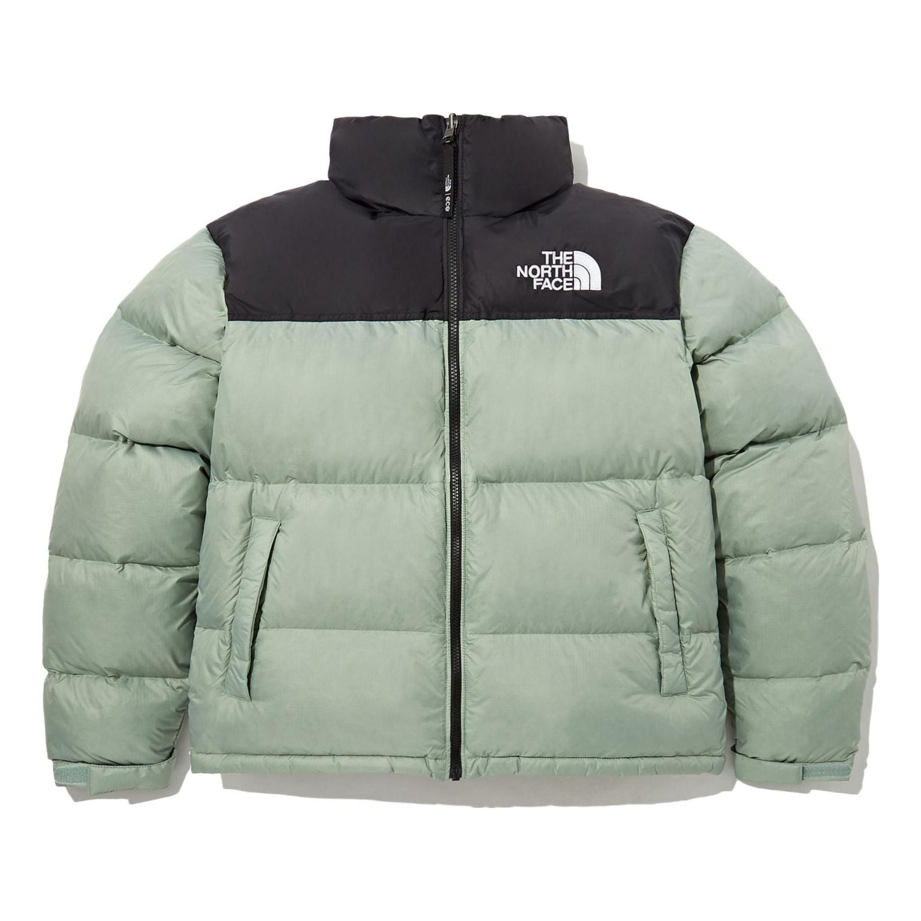 The North Face 1996 Eco Nuptse Jacket Asia Sizing 'Tea' NJ1DP75G