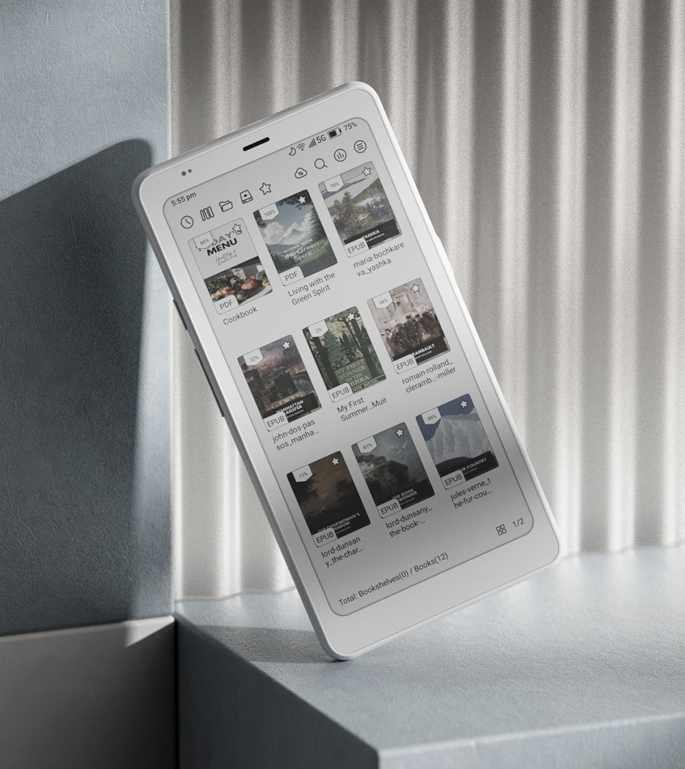 BOOX Palma 2 Pro | 6.13'' Color Mobile ePaper with 5G Data Support