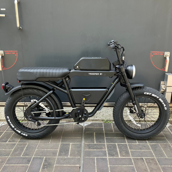 電動自転車／YADEA(ヤディア)｜TRP-01｜e-bike UENO｜バイク王