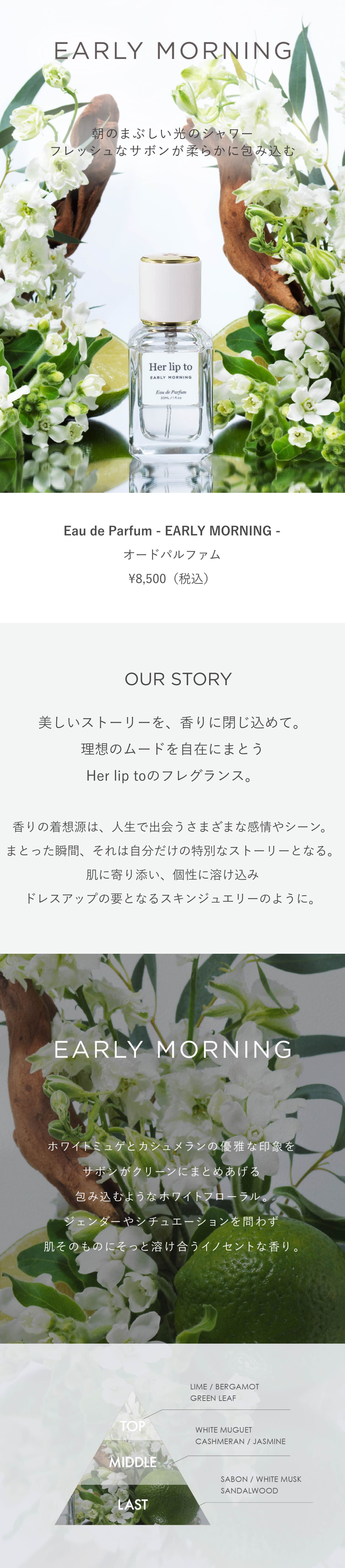 EARLY_MORNING.png?v=1731397290