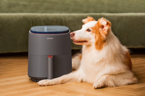 美味しさを残したまま97%オイルカット! スマートフォン操作で簡単調理