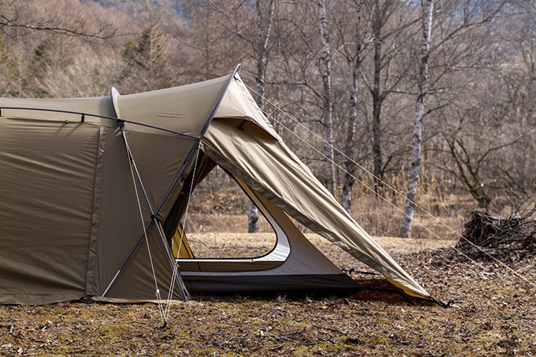 ROGA | PRODUCTS | ZANE ARTS