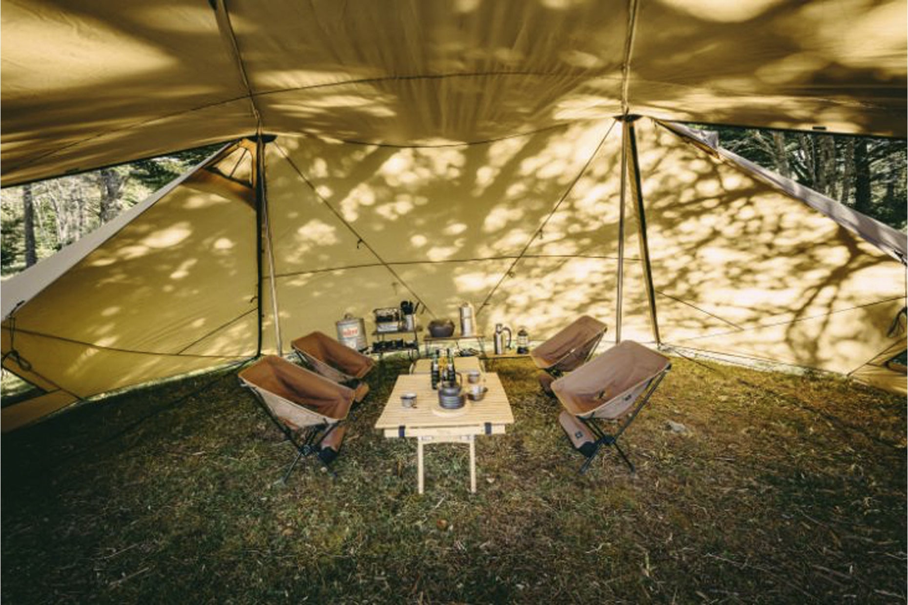 GIGI-2 | PRODUCTS | ZANE ARTS