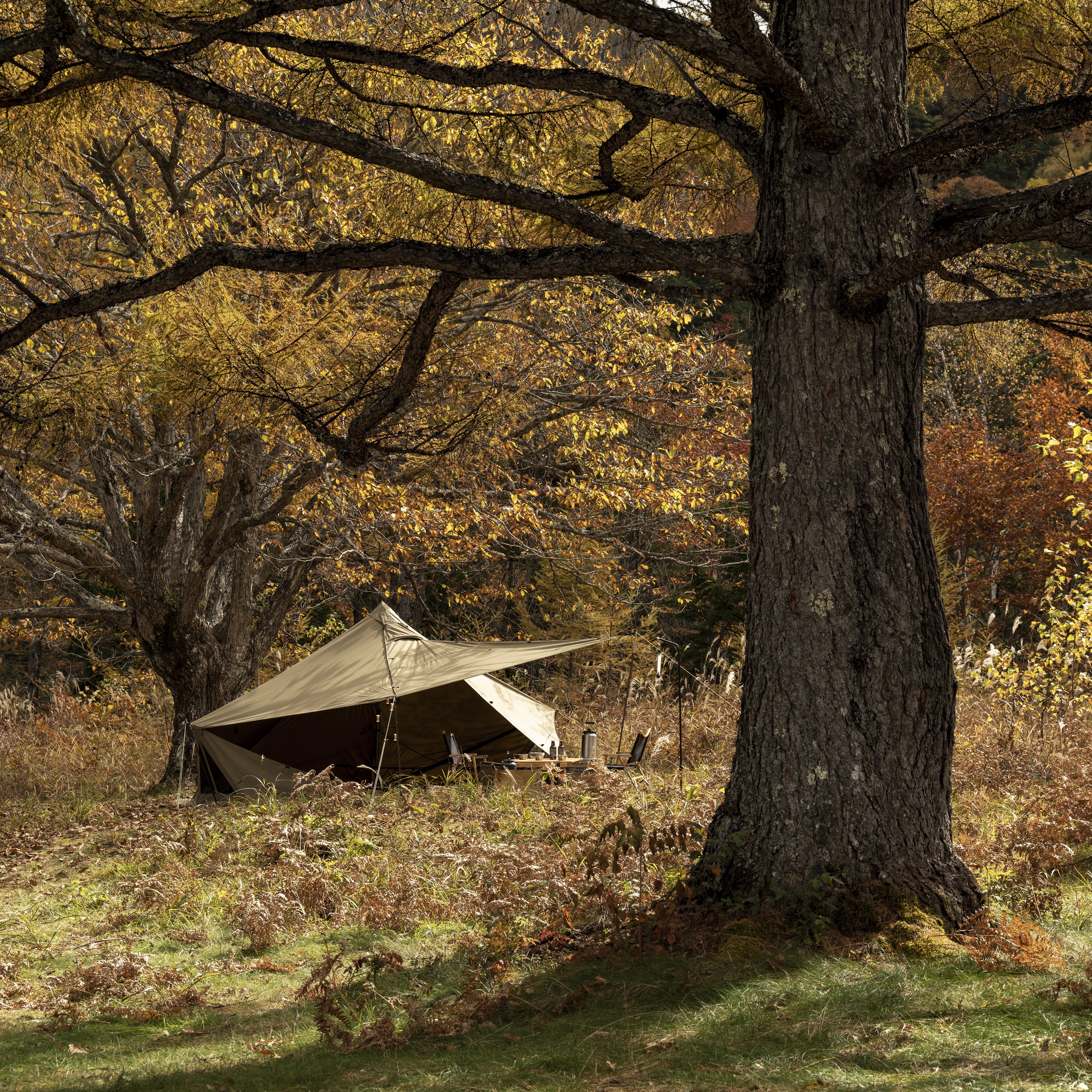 GIGI-1 TC | PRODUCTS | ZANE ARTS