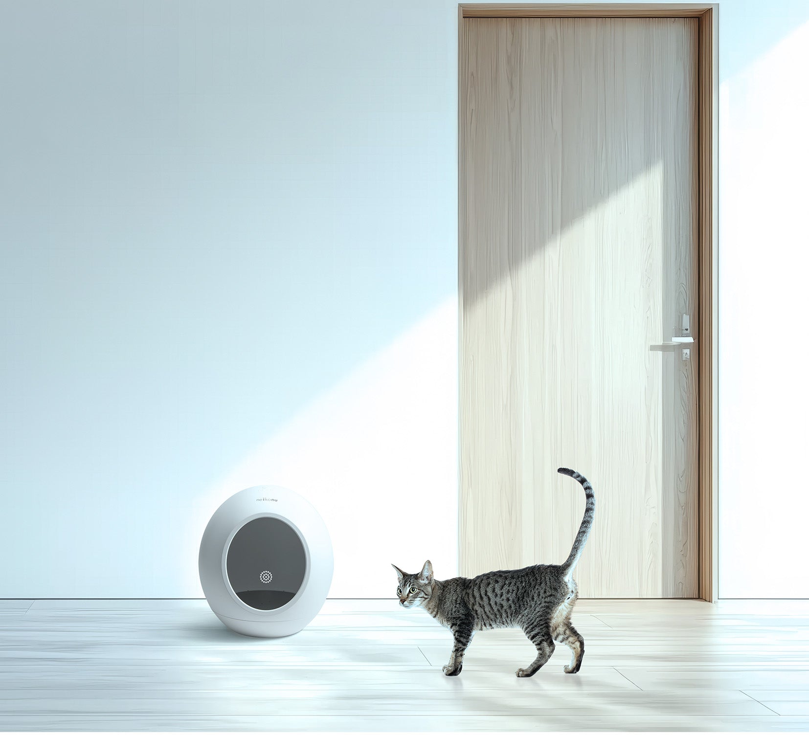 neikonu roomの魅力について