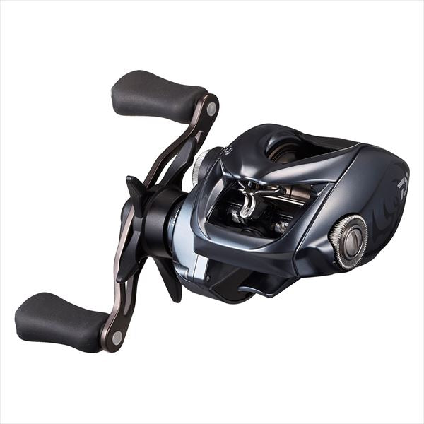 Daiwa 24 Steez SV TW 100H (Right handed)