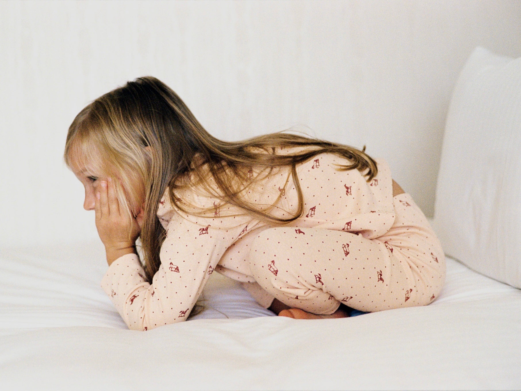 L/S Tee (Brown Horse) | House on the Hill