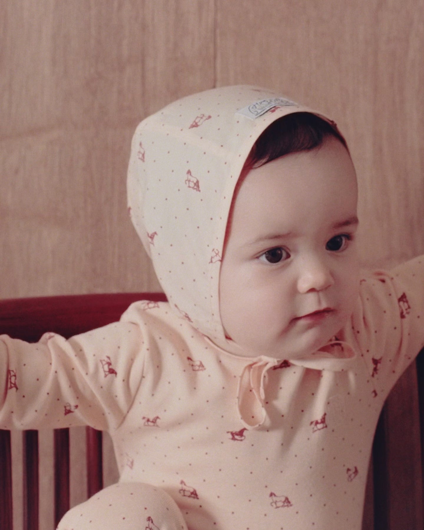 Bonnet (Brown Horse) | House on the Hill