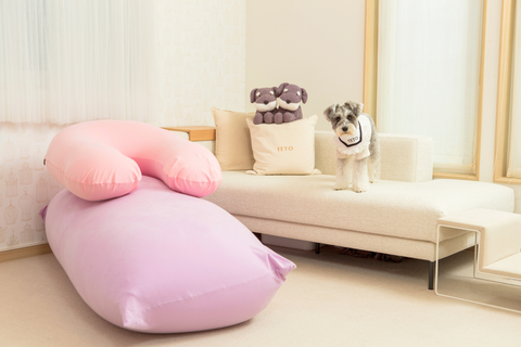 公式】Yogiboのある暮らし #4 | Yogibo公式オンラインストア