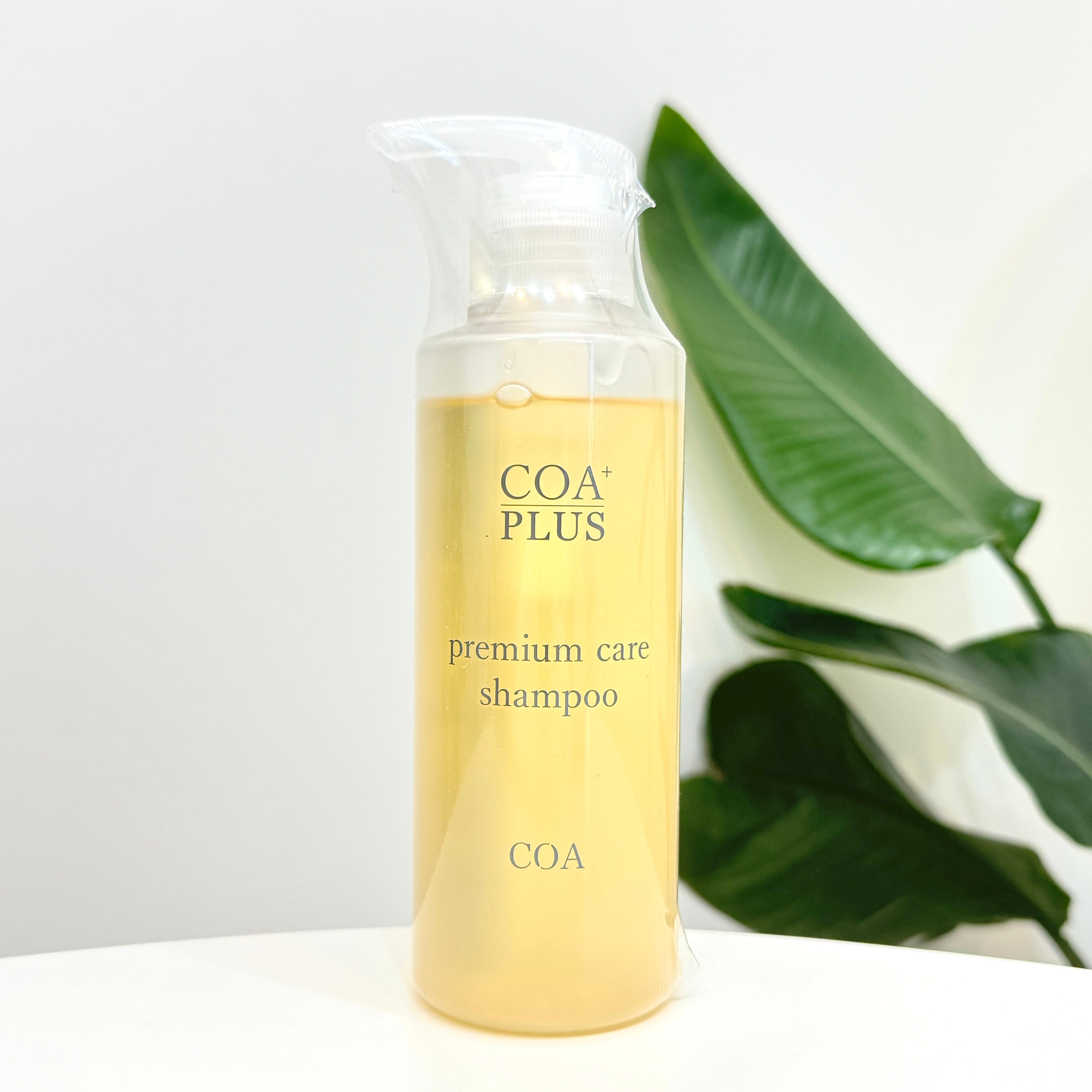 IMG_2067.jpg?v=1726885529