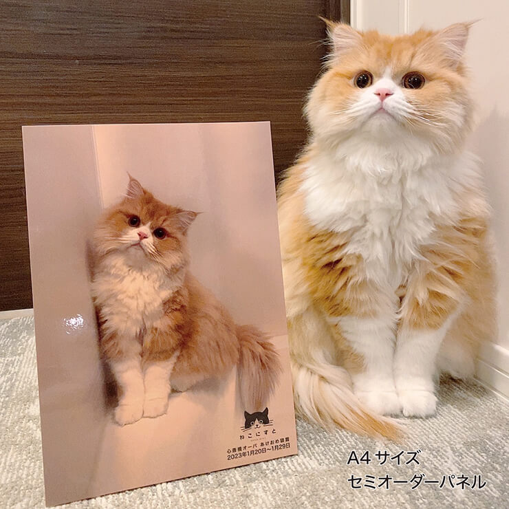 ねこにすとオリジナルセミオーダーパネル | ねこにすとSHOP