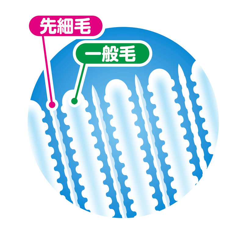 仕上げ歯ブラシ 優しくしっかり磨ける2本入りの歯ブラシ – EDISONmama