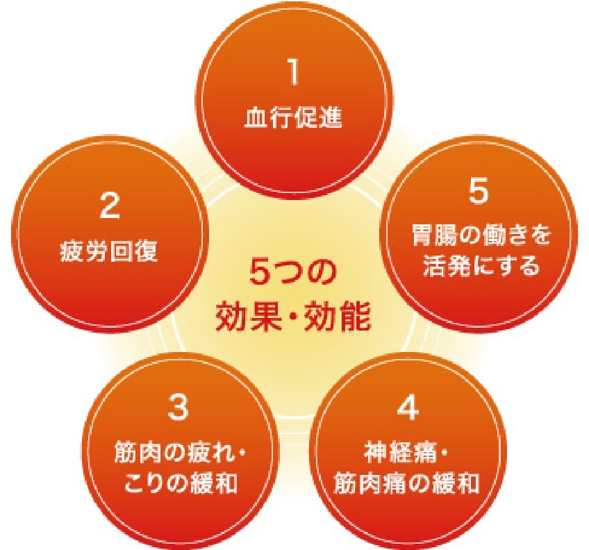 BiiOドーム – Invel Japan