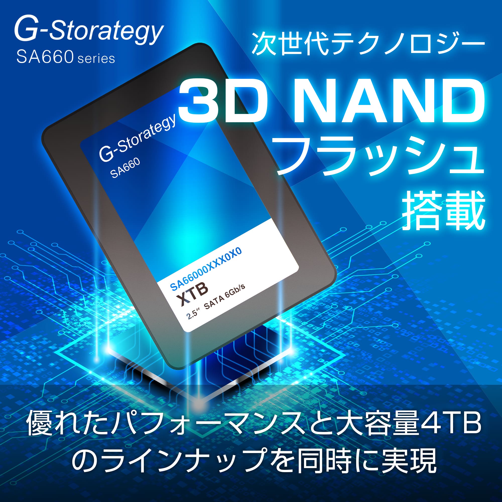 公式】G-Storategy 内蔵型 SSD 1TB 2.5インチ – ICHIBAKAN