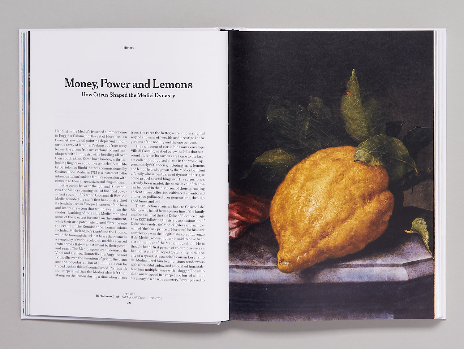 The Gourmand's Lemon Book | Idea House 3