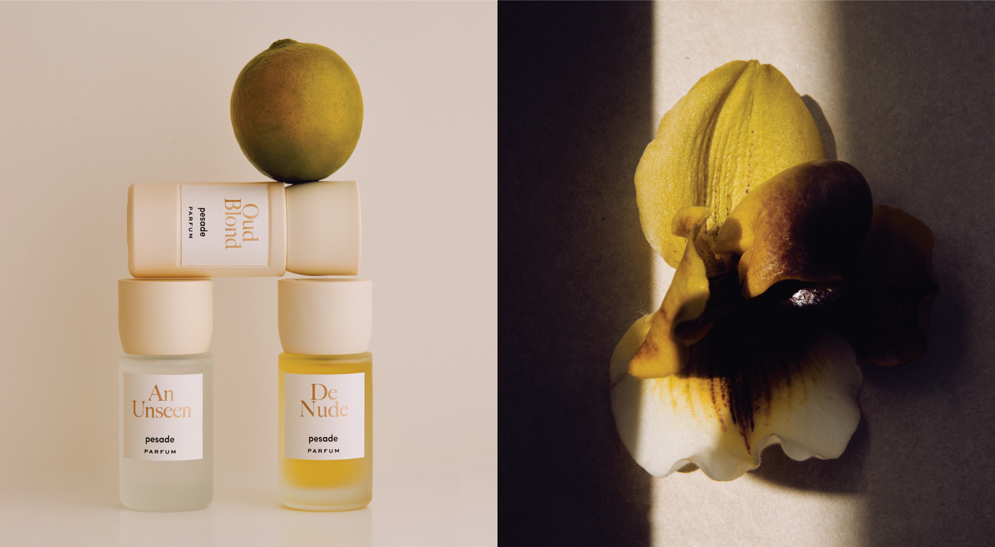 オード ブロンド・Oud Blond 30ml | 【公式通販】pesade（ぺサドゥ