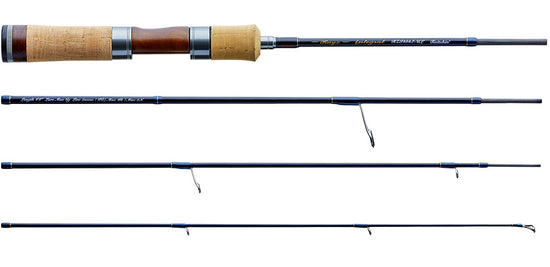 Tenryu Rayz Integral