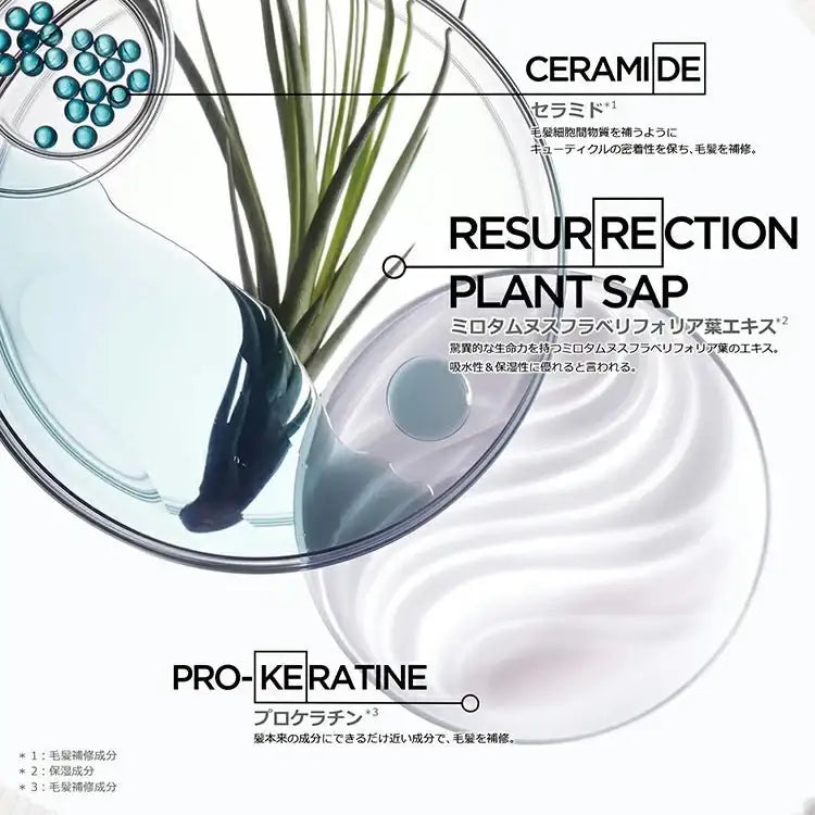 正規販売店】ケラスターゼ RE バン ド フォルス N 500ml (レフィル