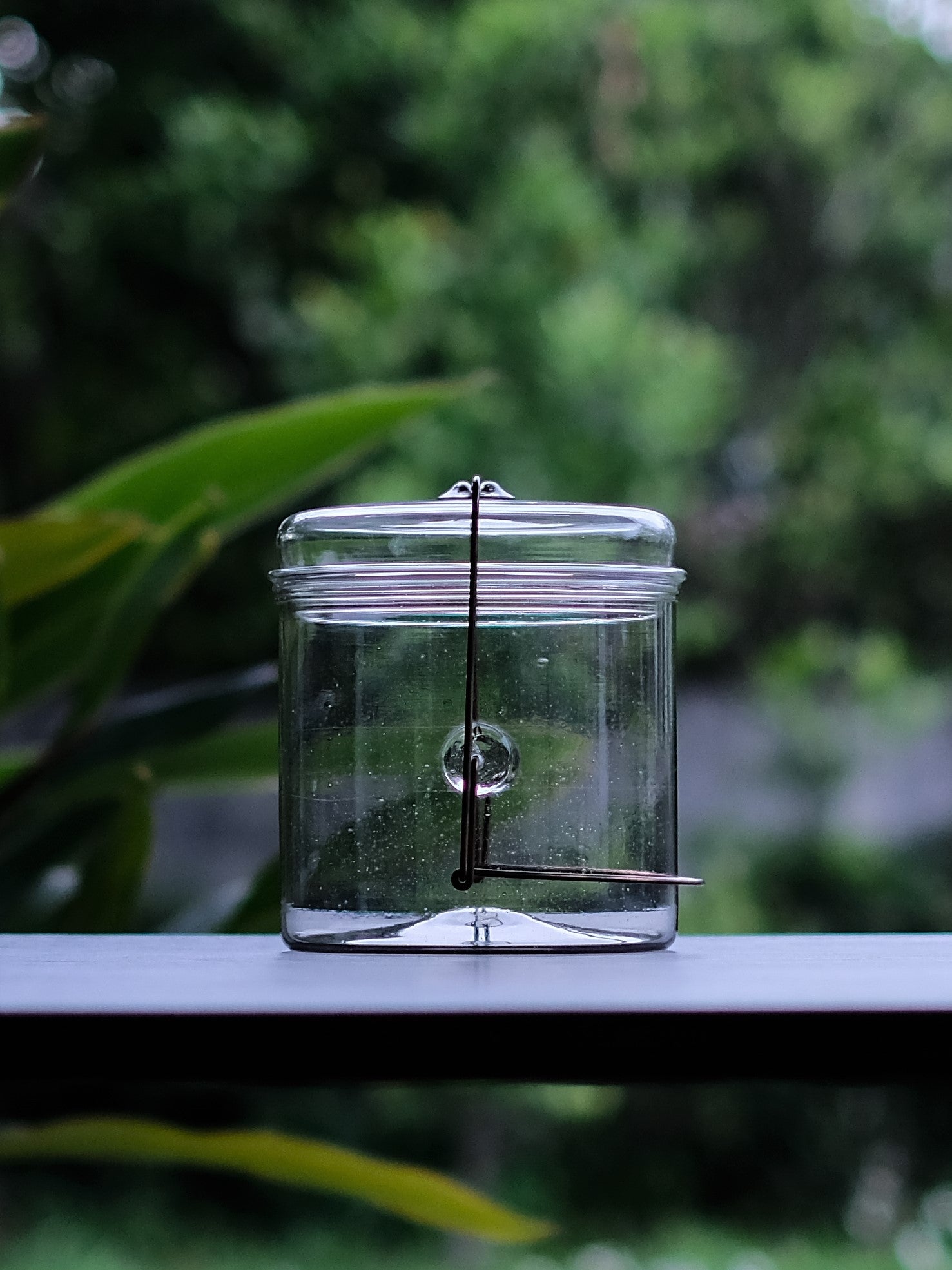 Peter Ivy ピーターアイビー bottle / S Peter Ivy ピーターアイビー