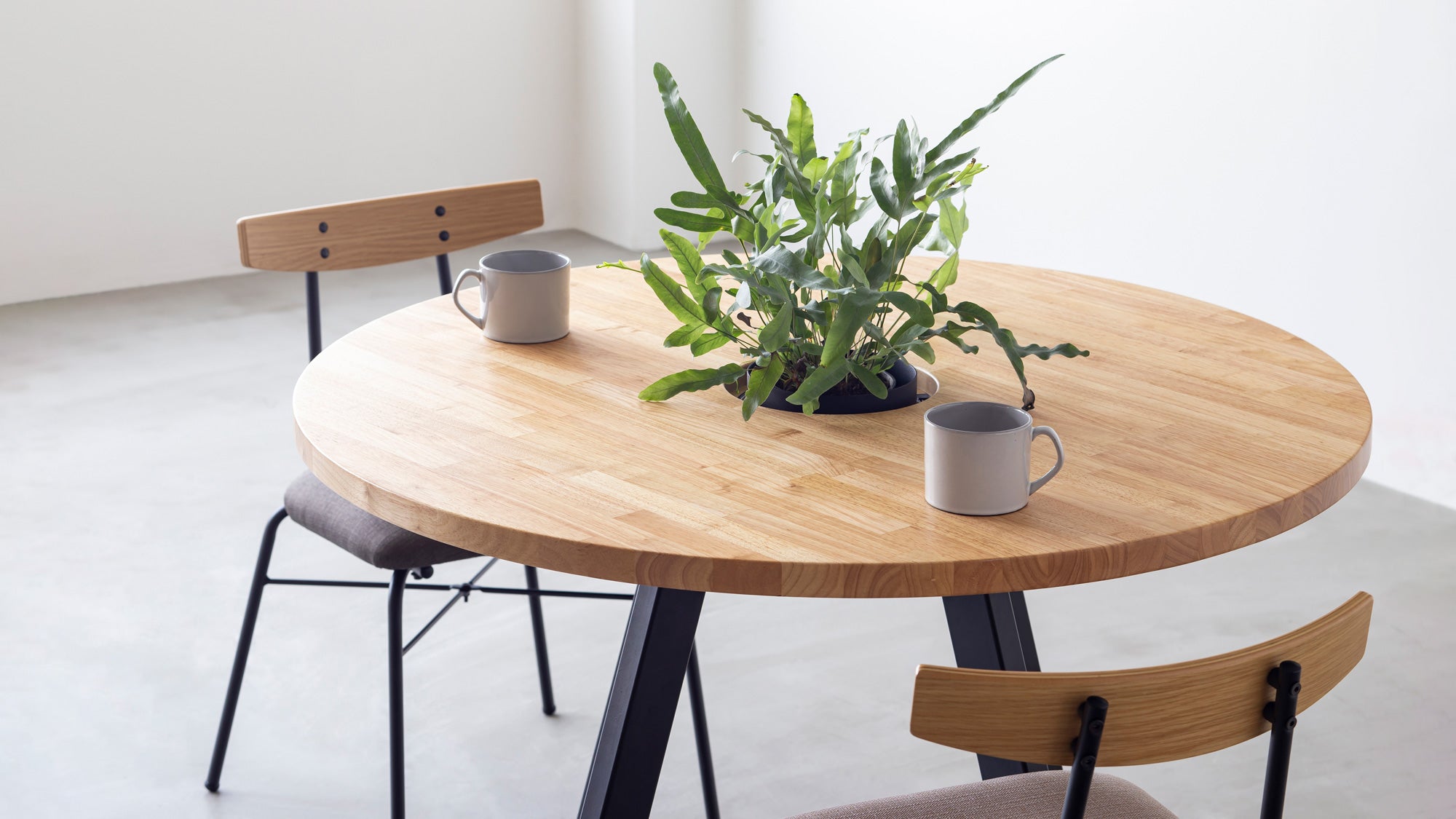 自然をお部屋に取り込むグリーンとともに暮らすテーブル – KANADEMONO