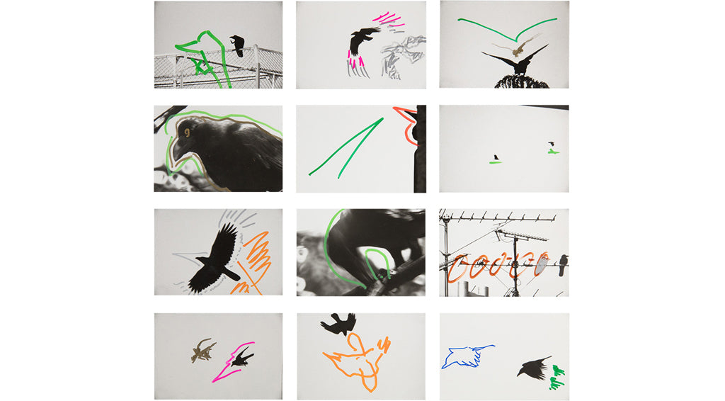 CONVERSATION：RAVENS / 鴉 – 鴉の秘密、アーカイブスの謎 by Tomo