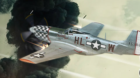 マスタング P-51D 44-63864 – MotoArt PlaneTags