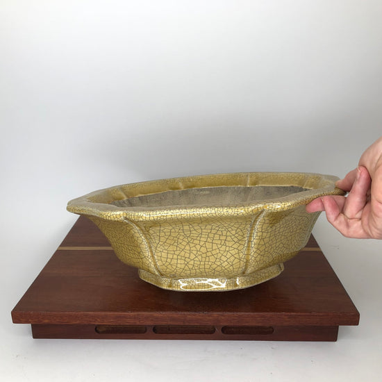 Large Pots – Bonsai Island