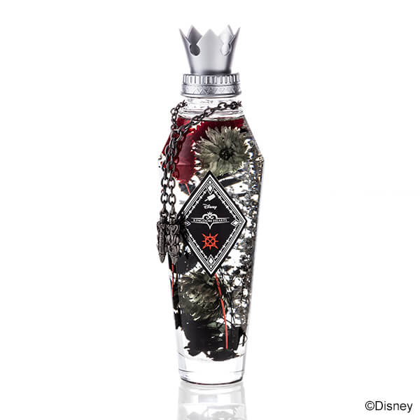 アクセル モデル ハーバリウム キングダム ハーツⅢ キングダム ハーツ