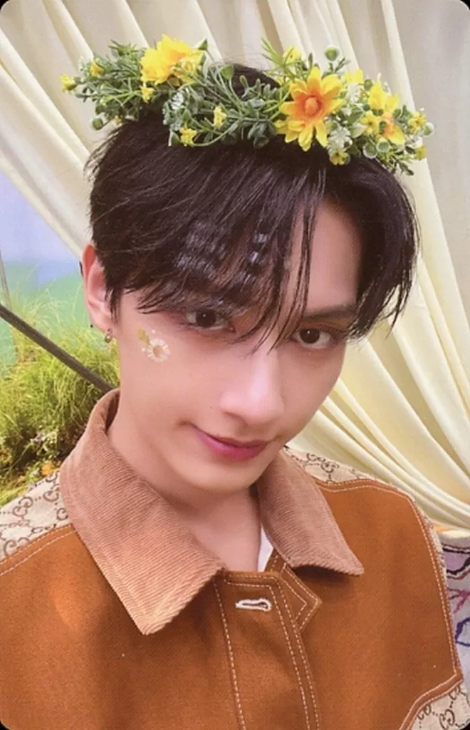 SEVENTEEN ジュン 2ページ　特典 まとめ売り HEAVEN JUN seventeen heaven ジュン carat盤 ユニバ 特典 コンプ - メルカリ