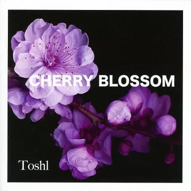 ToshI CHERRY BLOSSOM 邦楽 CD 駿河屋 -<中古>Toshi / CHERRY BLOSSOM（邦楽）