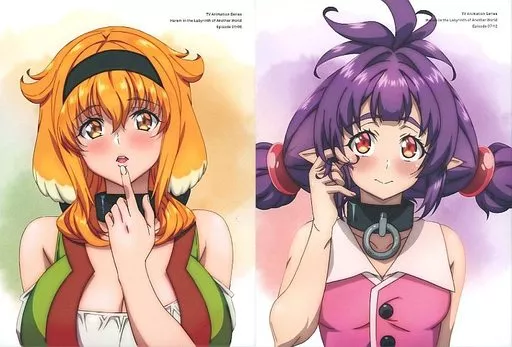 異世界迷宮でハーレムを Blu-ray BOX 上下巻セット Amazon.com: 異世界迷宮でハーレムを Blu-ray BOX 上巻《通常版