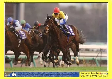 ディープインパクト 有馬記念 ジグソーパズル1000 駿河屋 -<中古>ディープインパクト 06'有馬記念 ジグソーパズル 1000