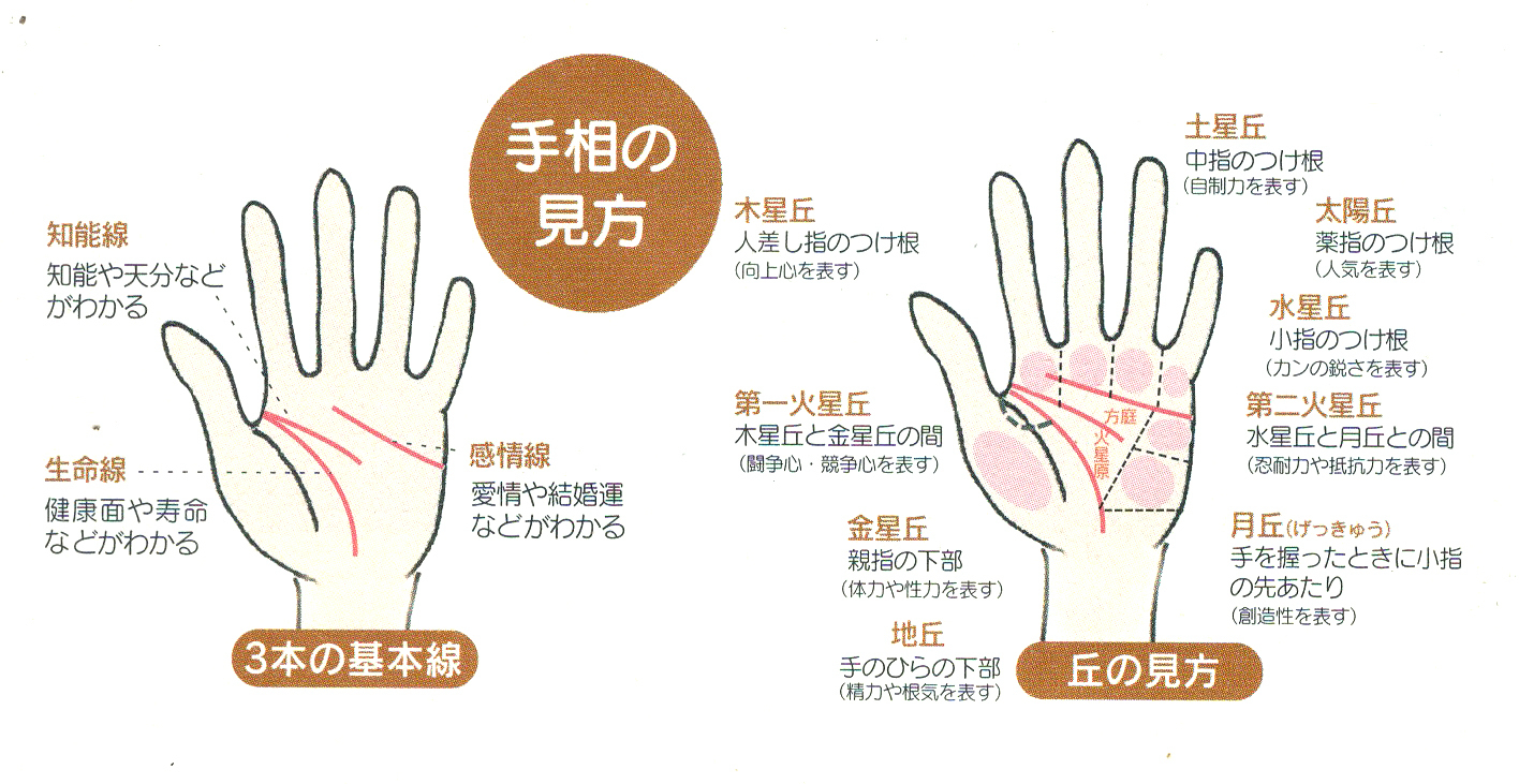 インド式手相術 神秘の宇宙科学・インド占星術 ラージ・ウマ 匿名配送
