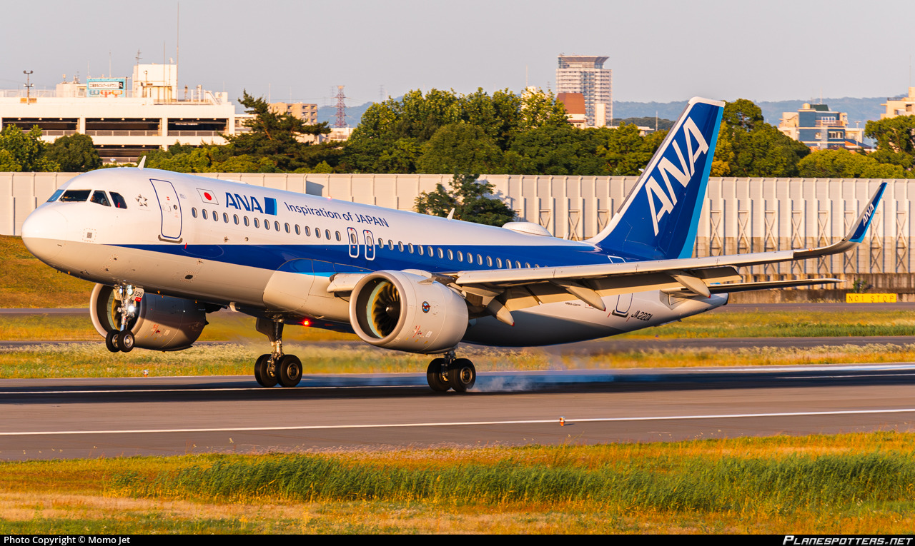 JA220A All Nippon Airways Airbus A320-271N Photo by Momo Jet | ID