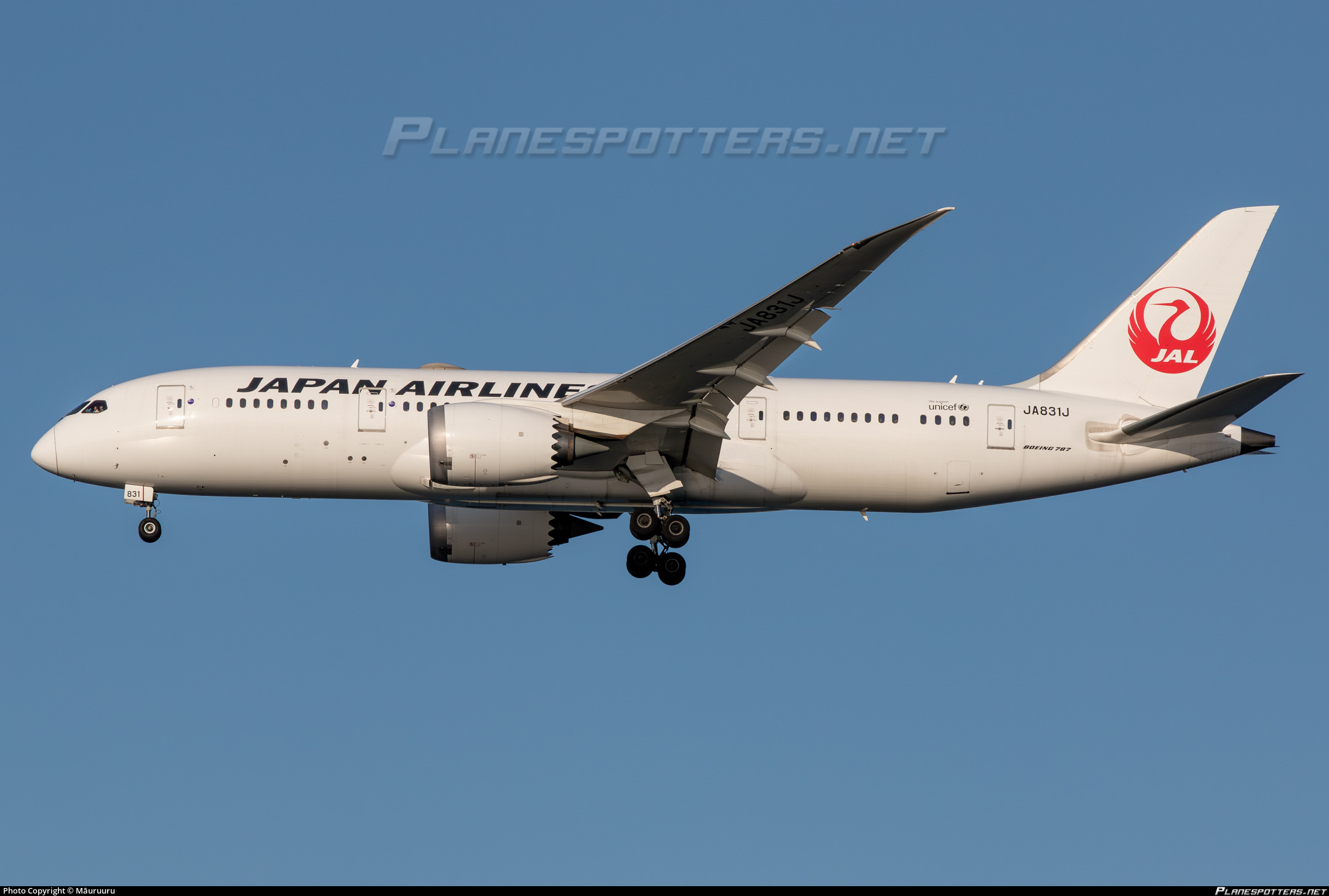 JA831J Japan Airlines Boeing 787-8 Dreamliner Photo by Māuruuru