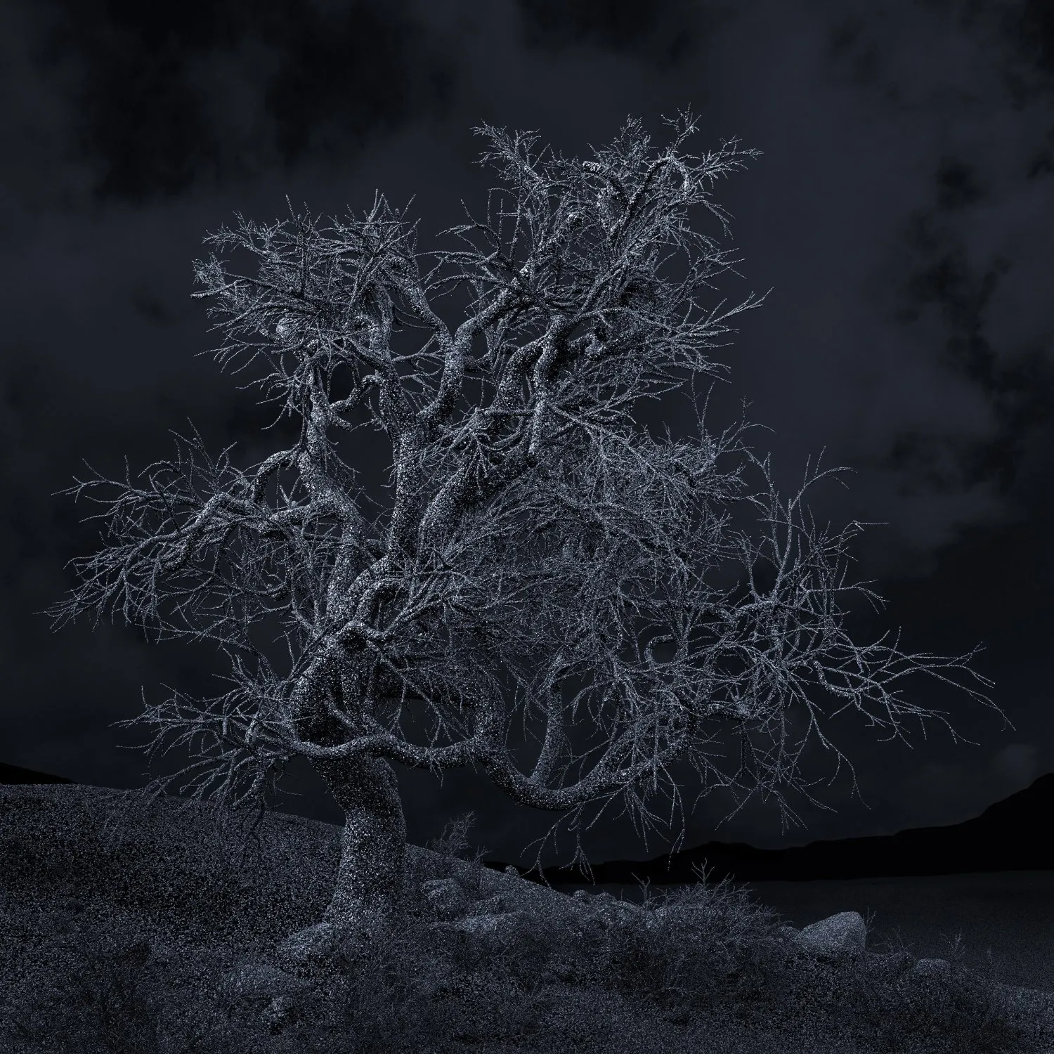 62275d4a19bdec456403888d_thisi