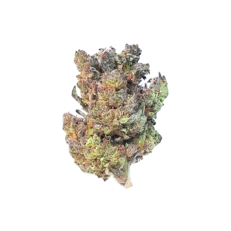 Lemon Cherry Gelato (Greenhouse) | Preston Herb Co