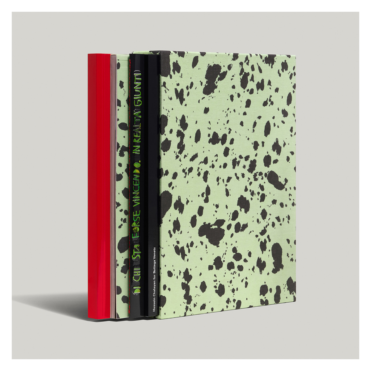 BOTTEGA VENETA WINTER FANZINE | 10 Magazine Australia