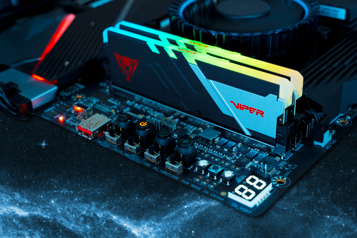 Viper Venom RGB & Non-RGB DDR5 Performance DRAM | Viper Gaming