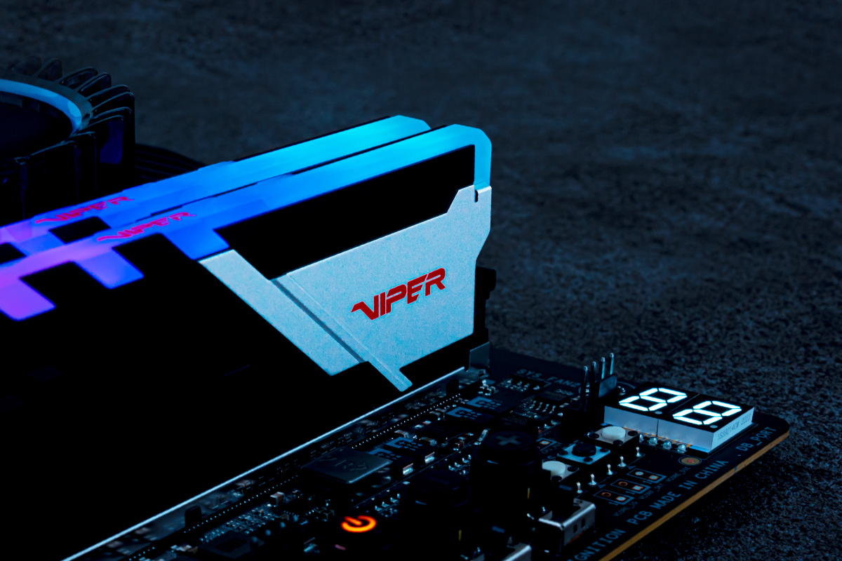 Viper Venom RGB & Non-RGB DDR5 Performance DRAM | Viper Gaming