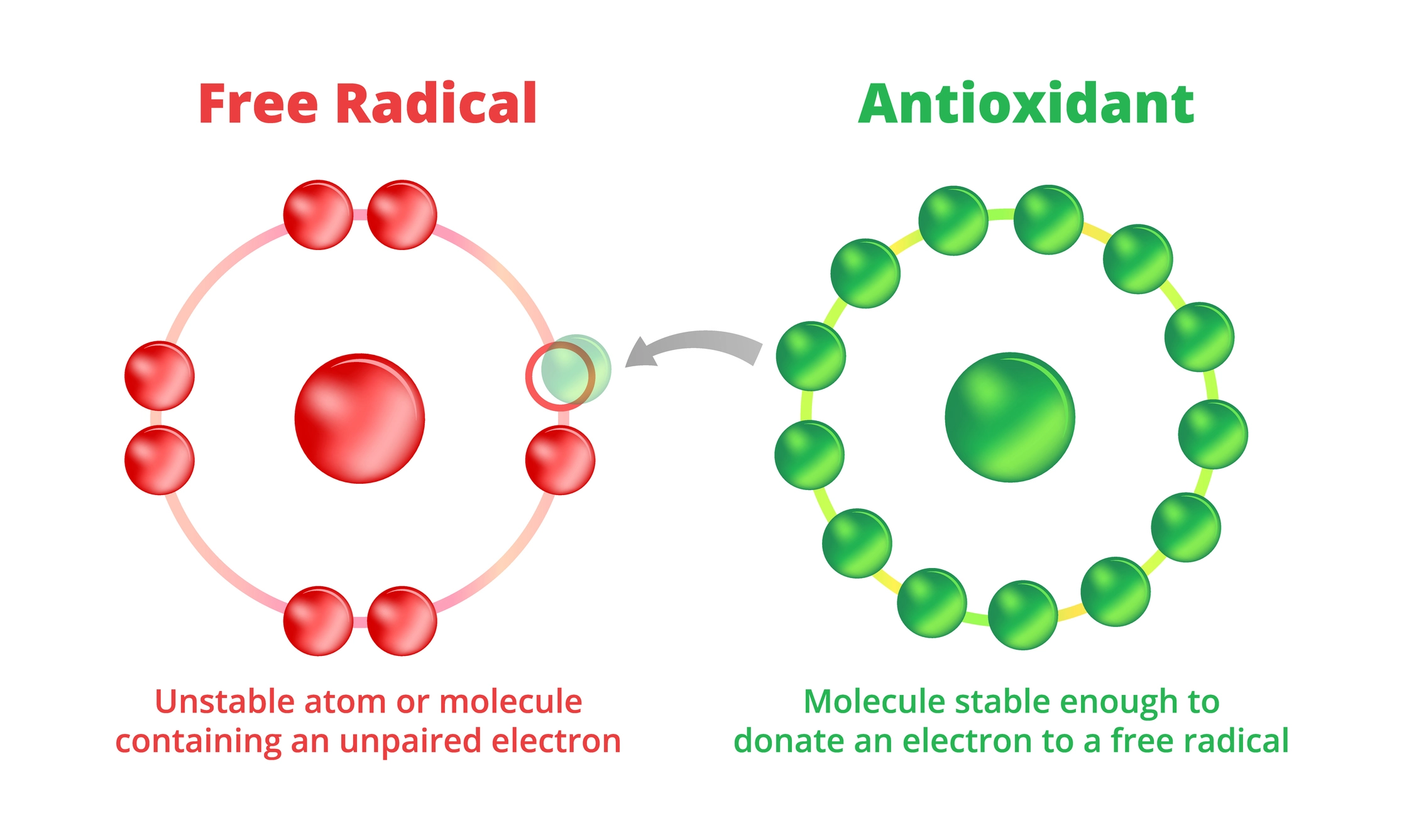 Understanding Free Radicals and Their Impact on Skin Health
