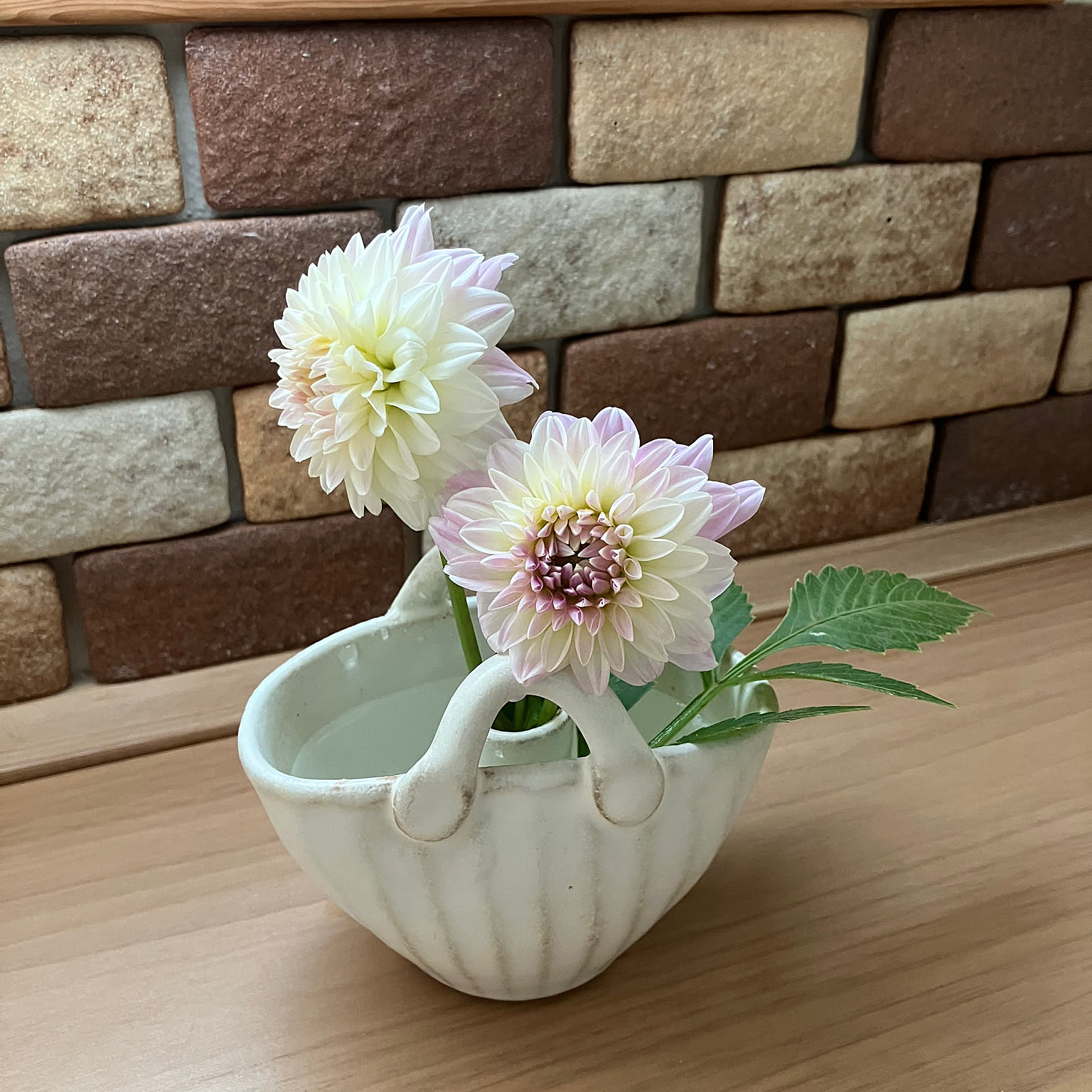 c1d03fd82c23a87642993226598893