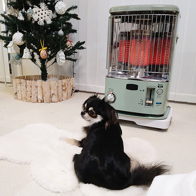 正規販売店 アラジン 【特典付き】 2025年モデル 石油ストーブ